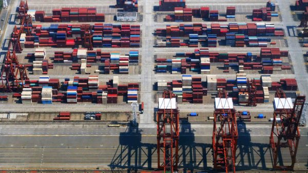 海关总署：今年一季度全国海关在口岸查获外来物种1163批次